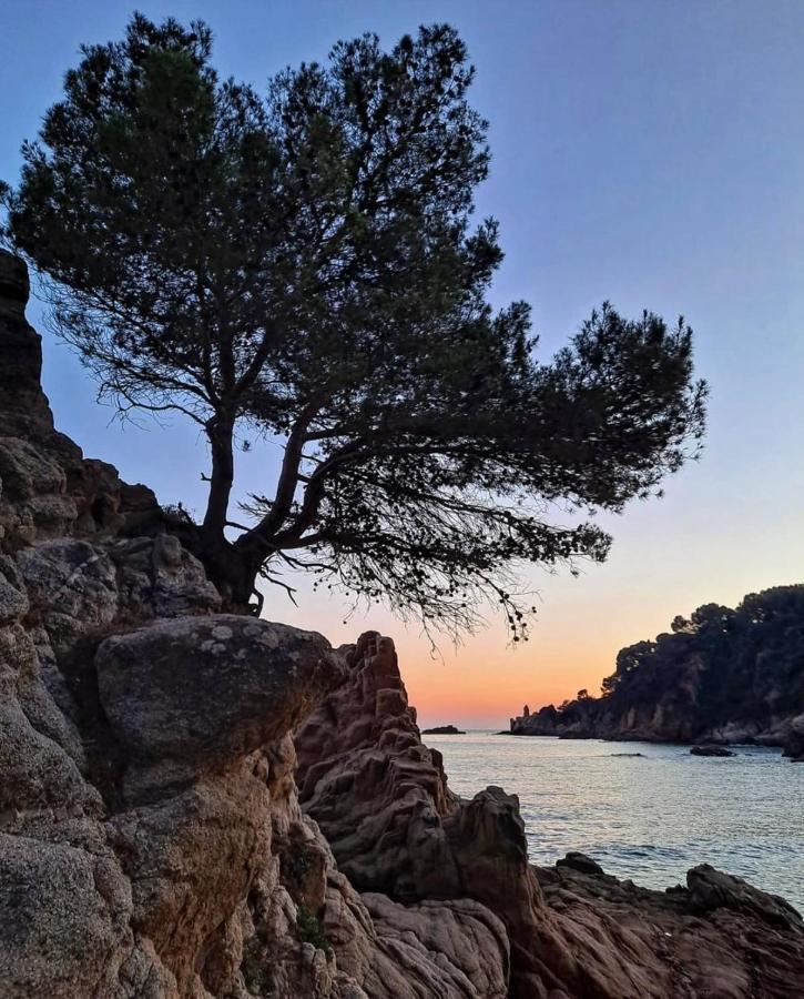 Seahomes Vacations, La Casa Blue Mediterranean Lifestyle Blanes Eksteriør bilde